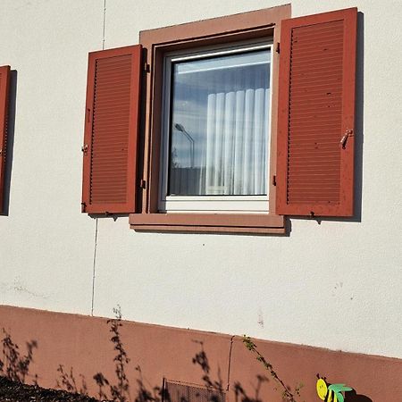 Schoene Wohnung In Worms Private Gastgeber Luaran gambar